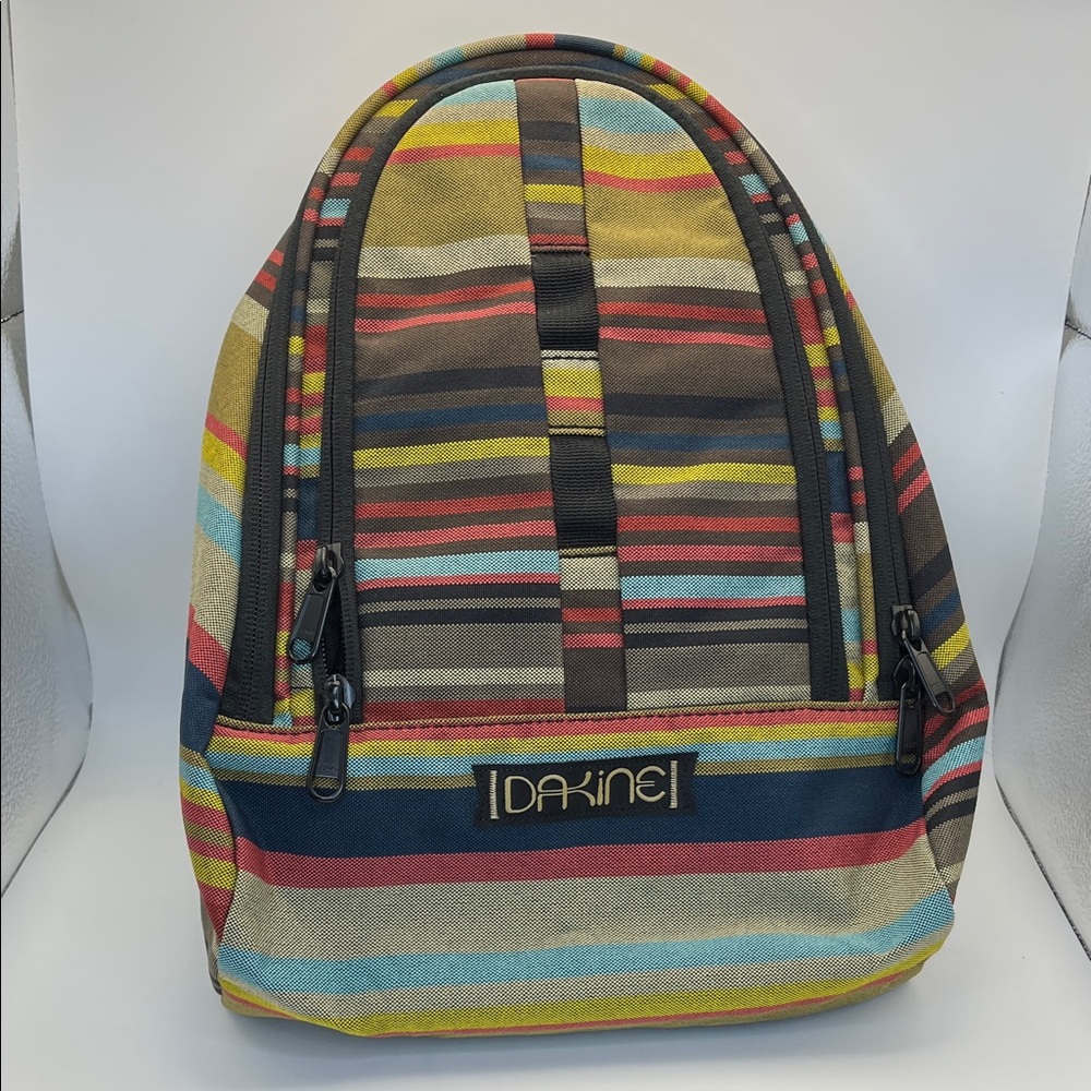 Dakine Multicolor Striped Backpack